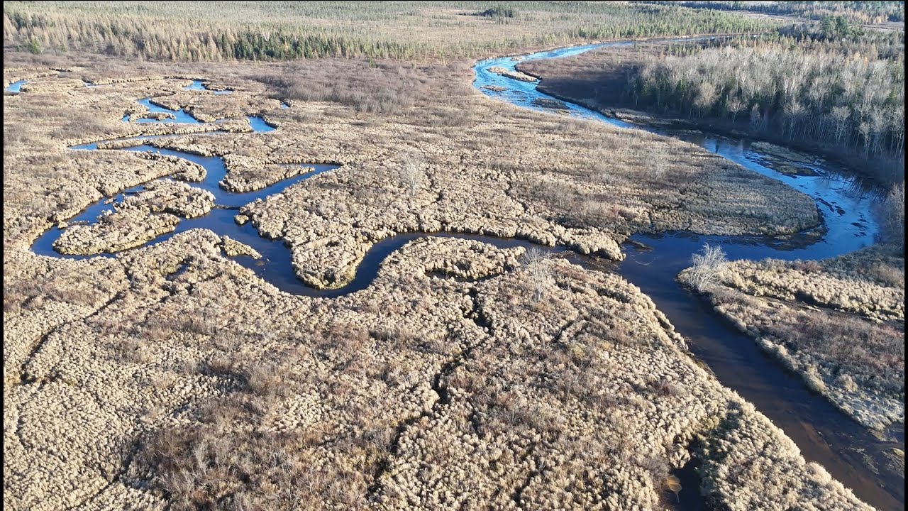 Bear River