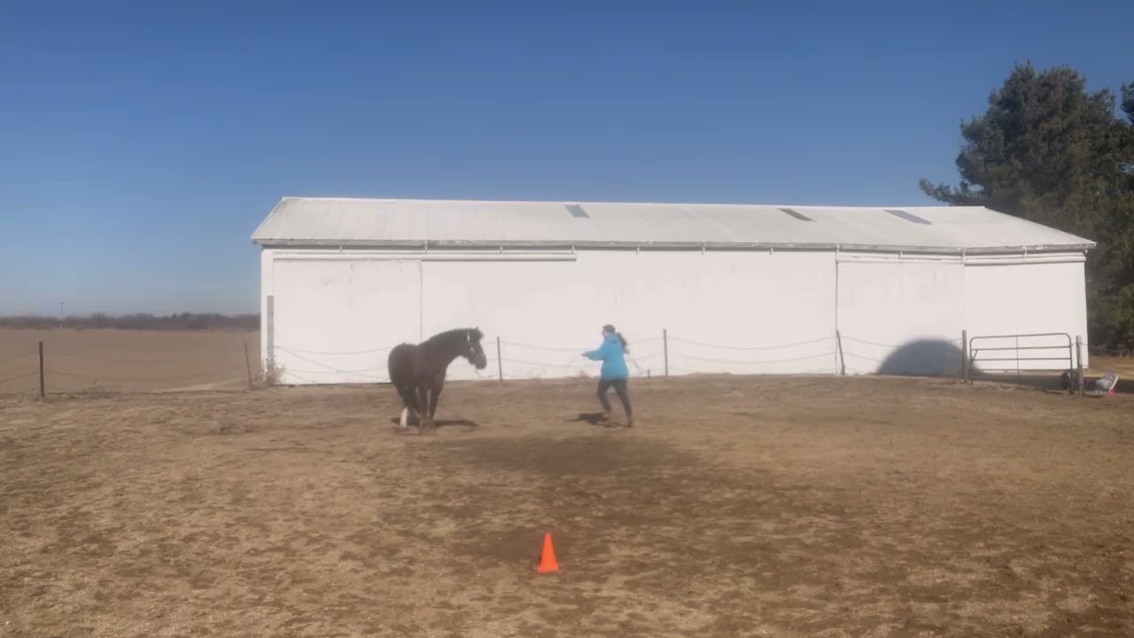 Kim Stiens and Atlas Rose lunge W/T