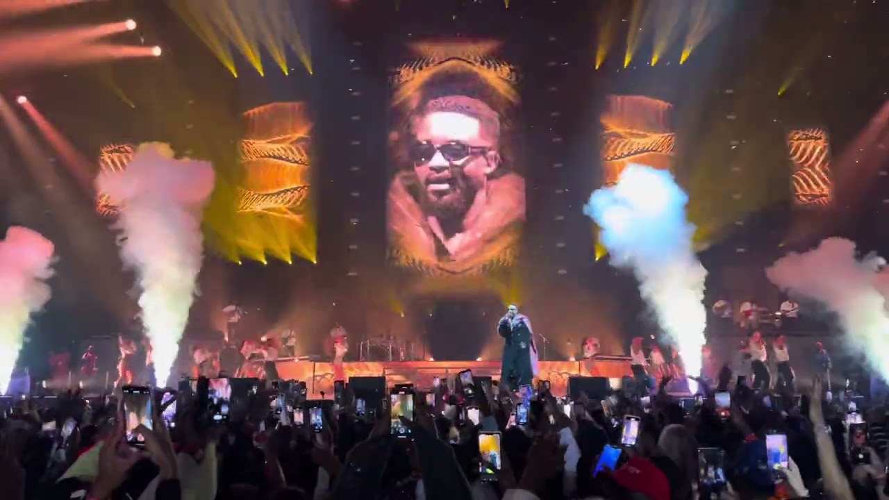 L'entrée tonitruante de Fally Ipupa à son concert à Paris La Défense Arena #concertlive #fallyipupa