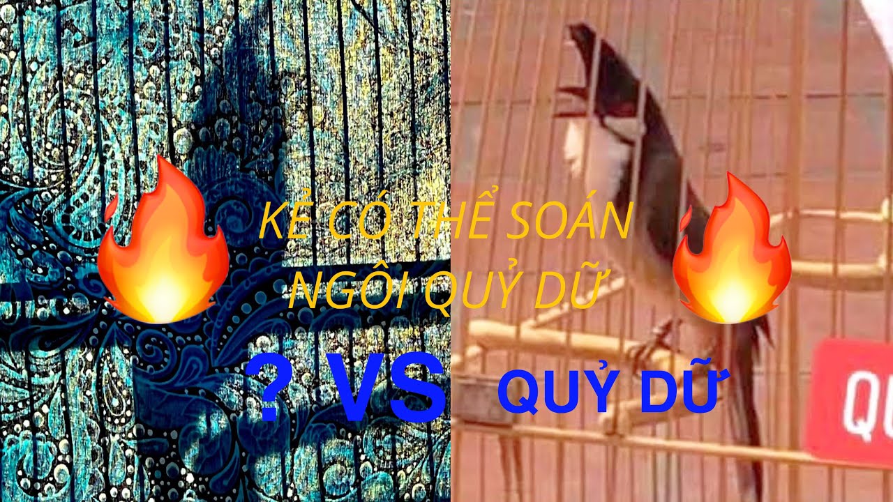 SERI CHÂN DUNG HUYỀN THOẠI CHÀO MÀO/TẬP 3 CHÚ CHIM DUY NHẤT CÓ THỂ SOÁN NGÔI QUỶ DỬ ĐỂ VƯƠN LÊN NO1