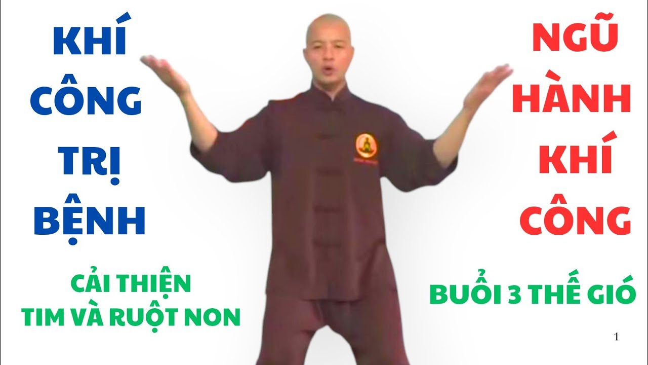 Khí Công Chữa Bệnh - Ngũ Hành Khí Công - buổi 3 thực hành thế gió ( cải thiện tim và ruột non