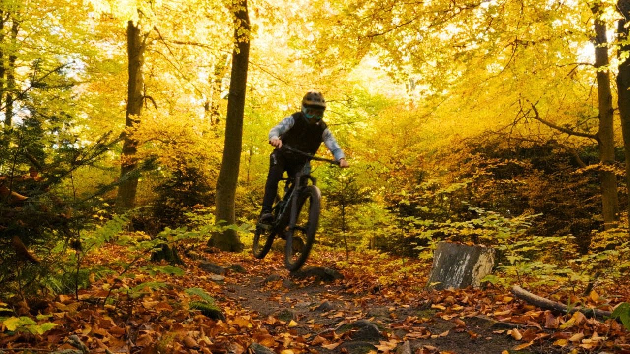 Autumn Flow &mdash; MTB Mini Edit