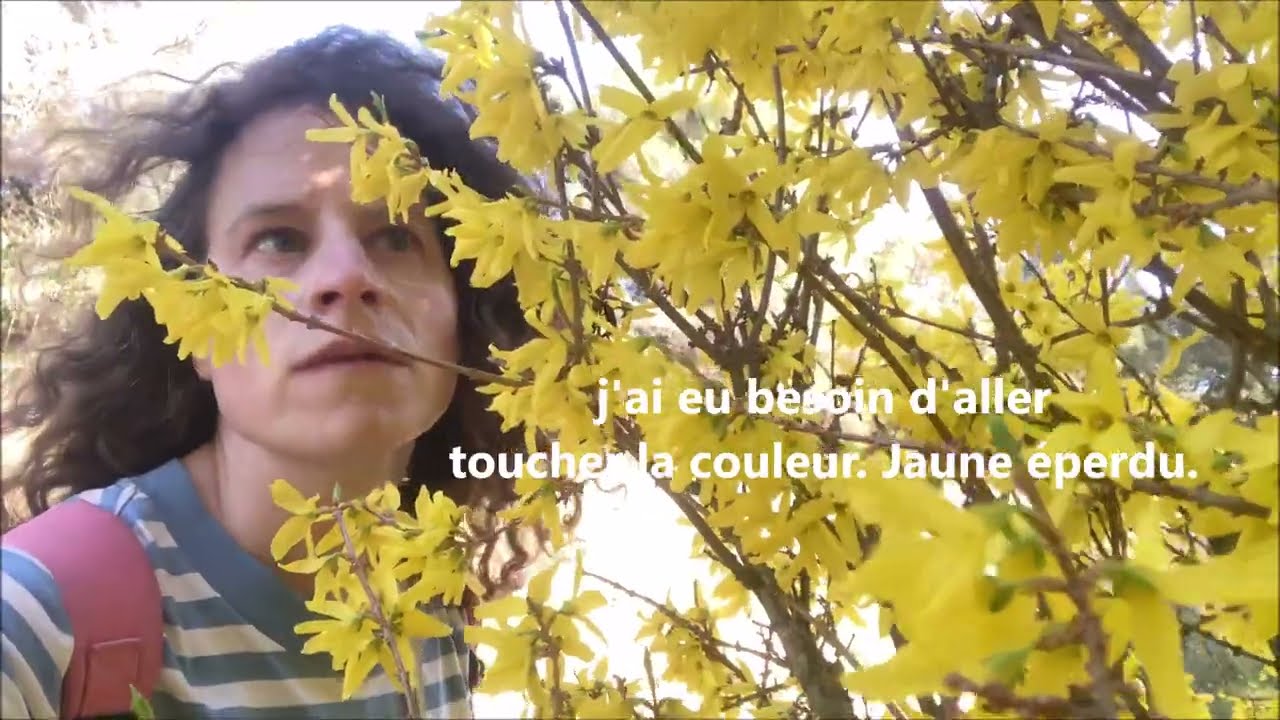 Jaune, jaune éperdu