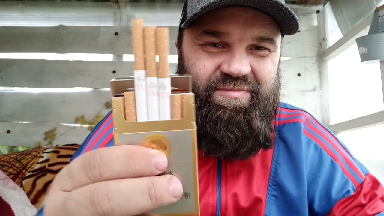 Самые популярные сиги в Китае!