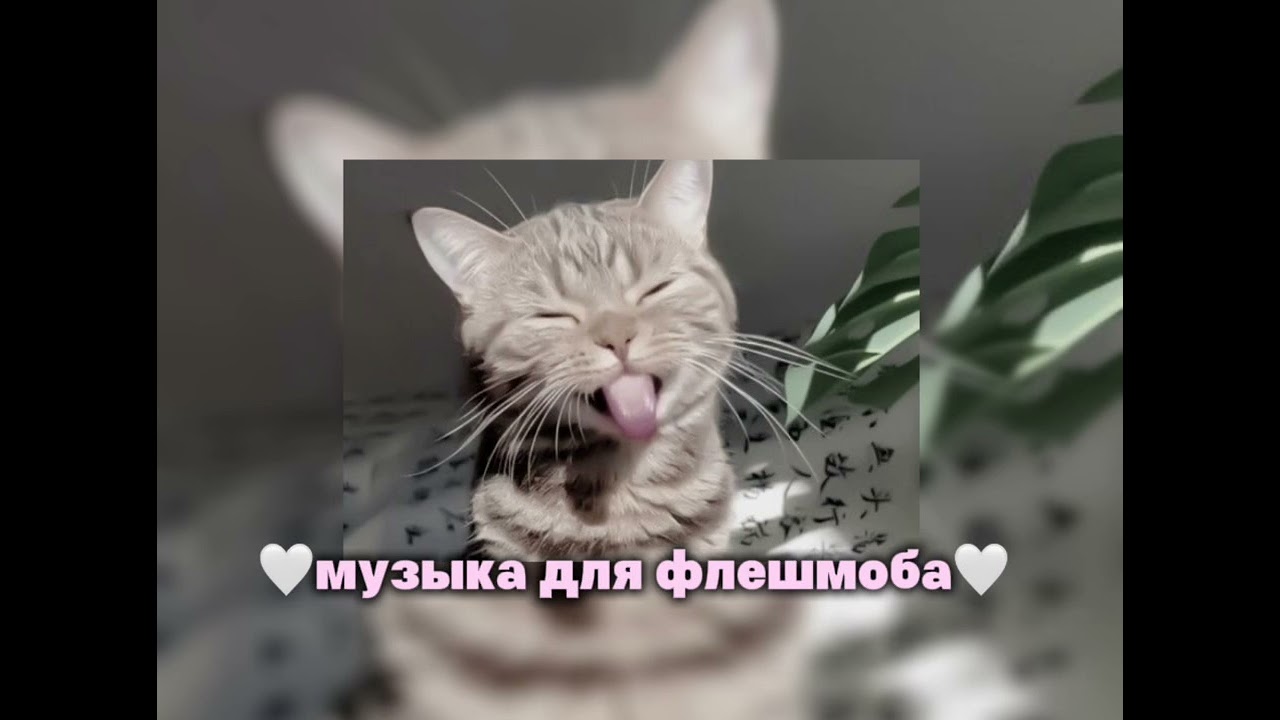 ||🤍музыка для флешмоба🤍||