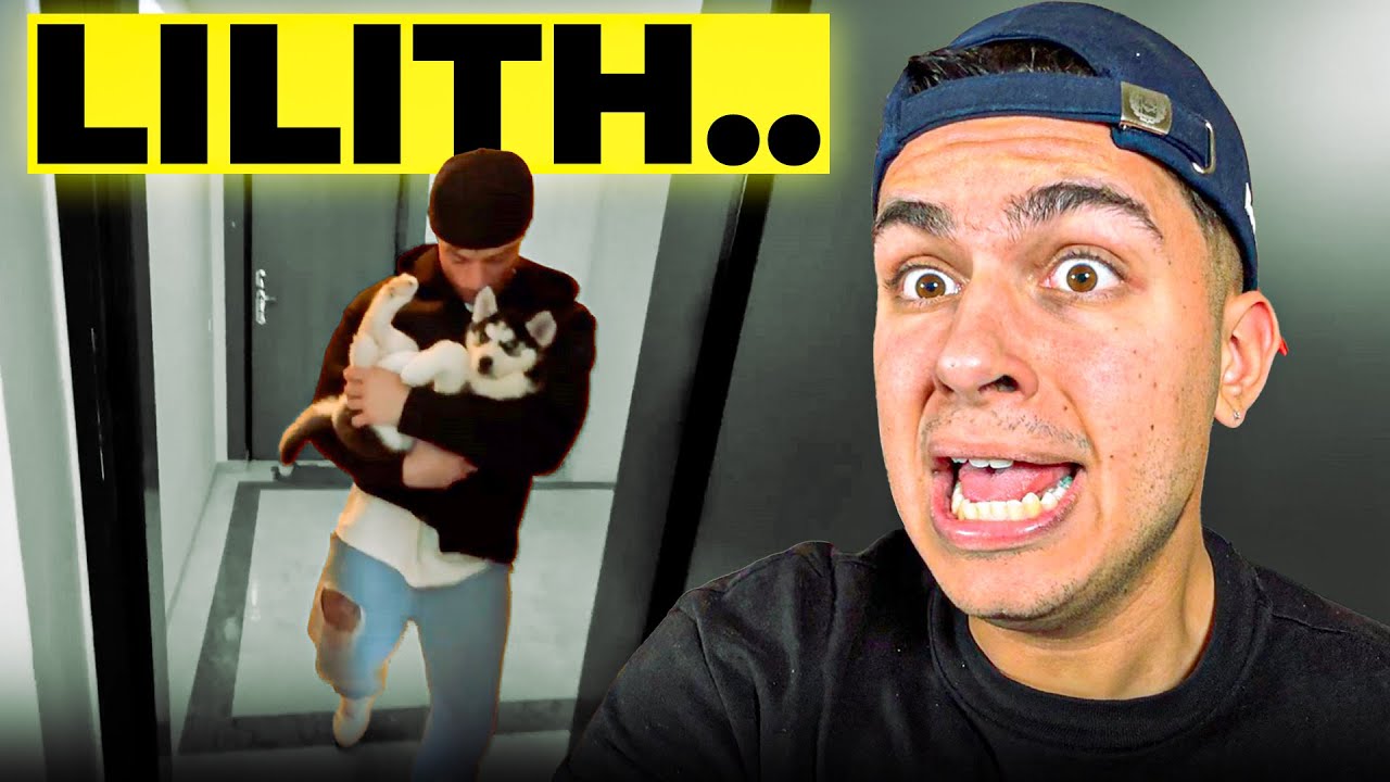 Ecco quello che &egrave; SUCCESSO a LILITH&hellip;