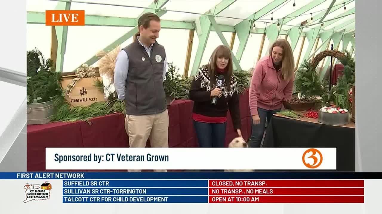 CT Veteran Grown