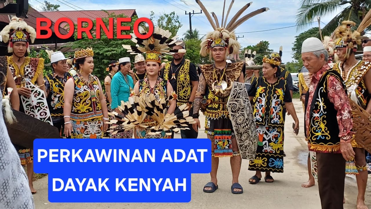 Perkawinan Adat Dayak Kenyah 