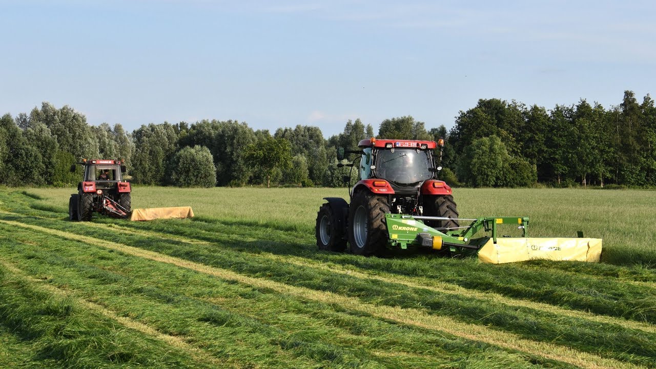 Case IH Maxxum 125 & Krone Easy Cut R280 + Case IH 845xl & Vicon CM217 - gras maaien