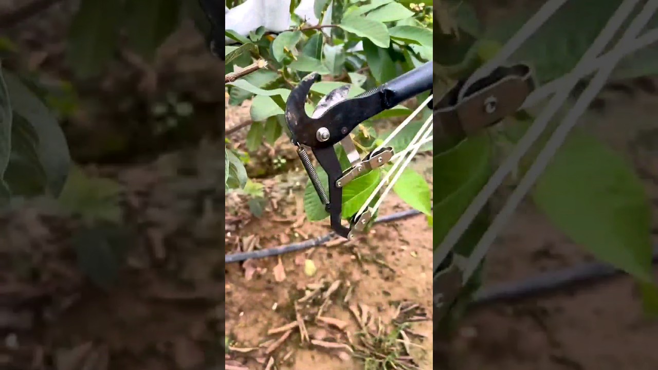 #short #agriculture #agritools#farming2024  #youtubeshorts #satisfying #EliteShortsUnleashed #2195