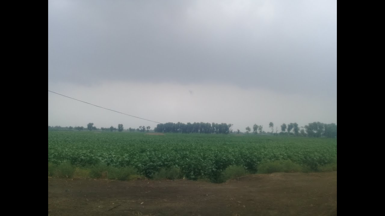Exploring Beautiful Weather Bangla Manthar Dera Sardar Aftab Solangi | Summer Beauty city