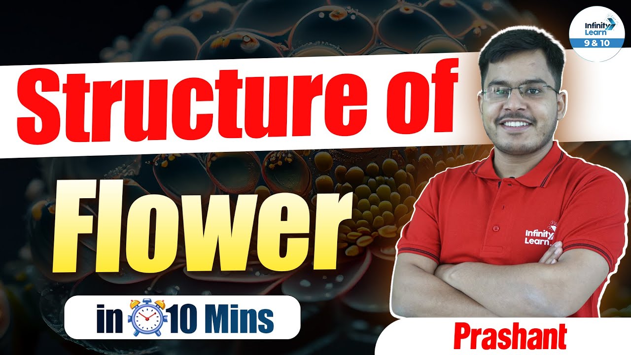 Structure of Flower | Concepts Under 10 Mins | Sexual Reproduction in Flowering Plants | Biology