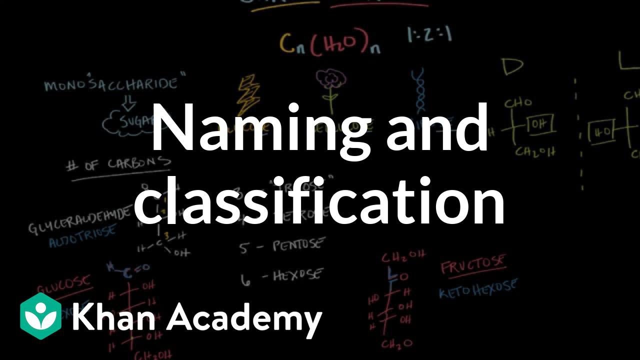 Carbohydrates - naming and classification | Chemical processes | MCAT | Khan Academy