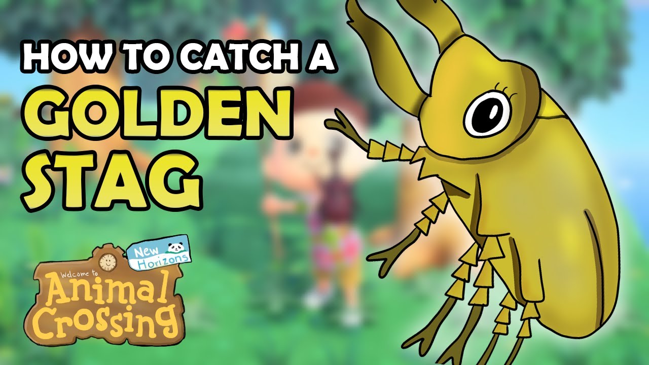 How to catch a GOLDEN STAG in Animal Crossing New Horizons [12,000 Bells - Detailed Bug Guide]