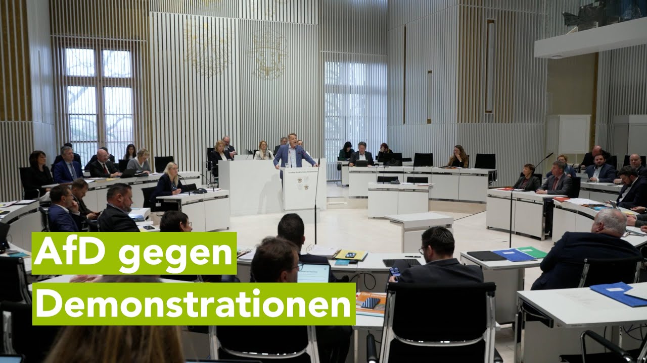 AfD gegen Demonstrationen. Wen wundert's? Stimmen aus dem Landtag M-V