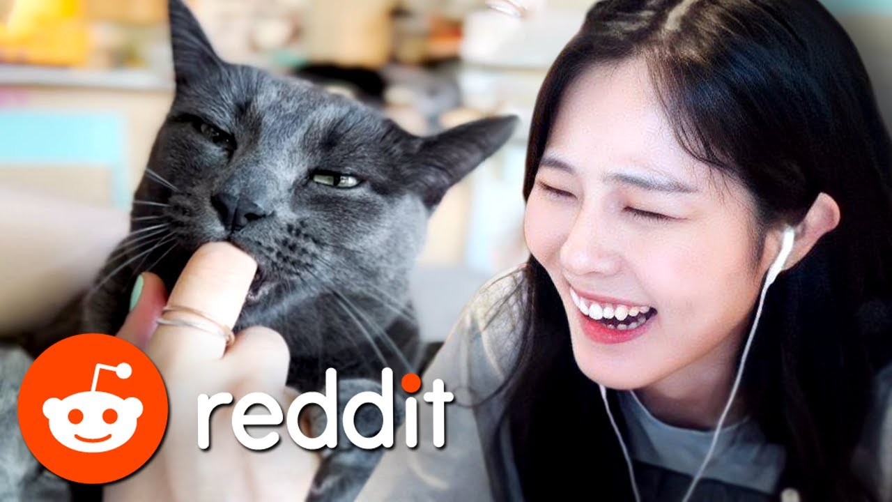 39daph Reacts to Reddit #36