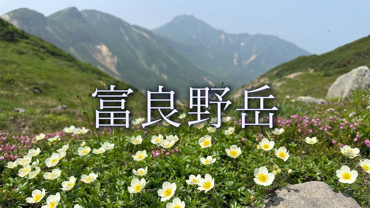 十勝連峰最南端に位置する花の名山【富良野岳】　７月中旬