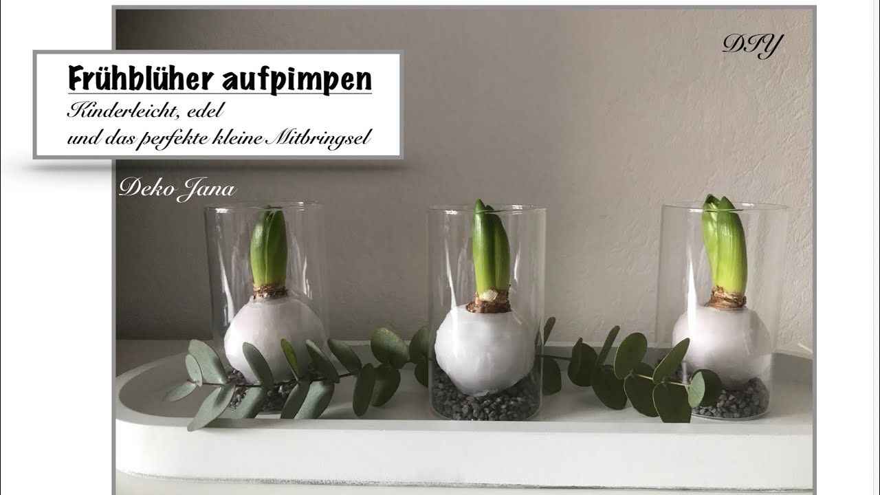 DIY: Zwiebelblüher edel in Szene gesetzt, Wachs Blumenzwiebeln, Frühlingsdeko Idee / Deko Jana