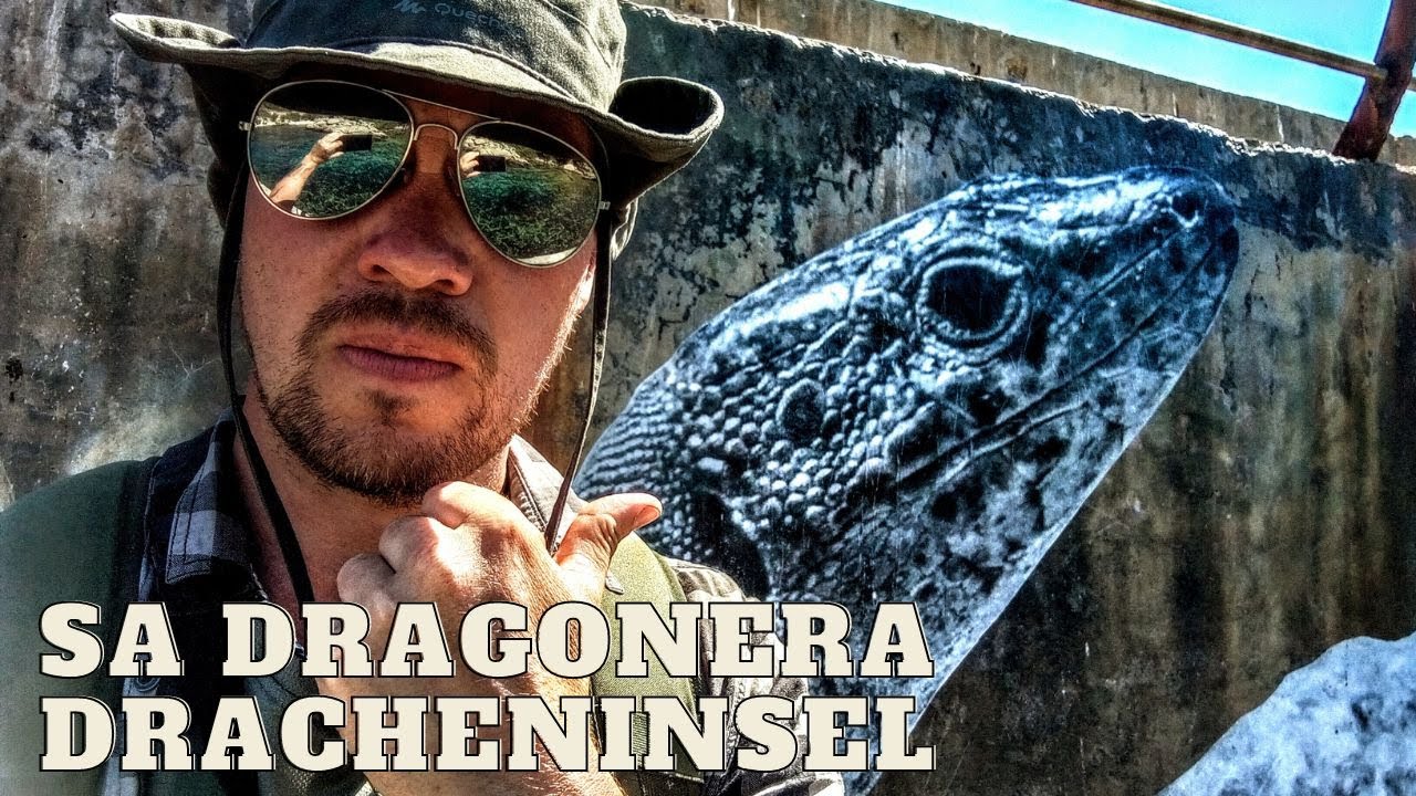 Sa Dragonera Mallorca | Die Dracheninsel überall Echsen | Sant Elm Geheimtipp