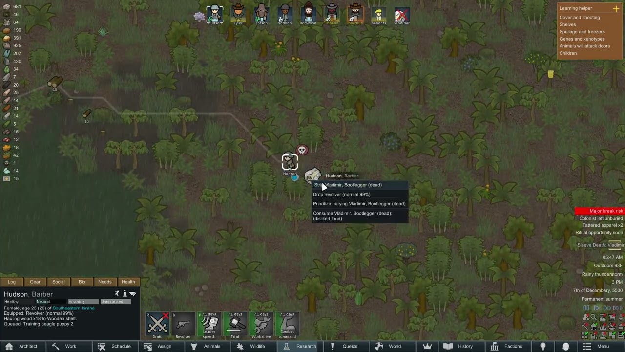 RimWorld by Ludeon Studios 2025 05 09 05 48 23