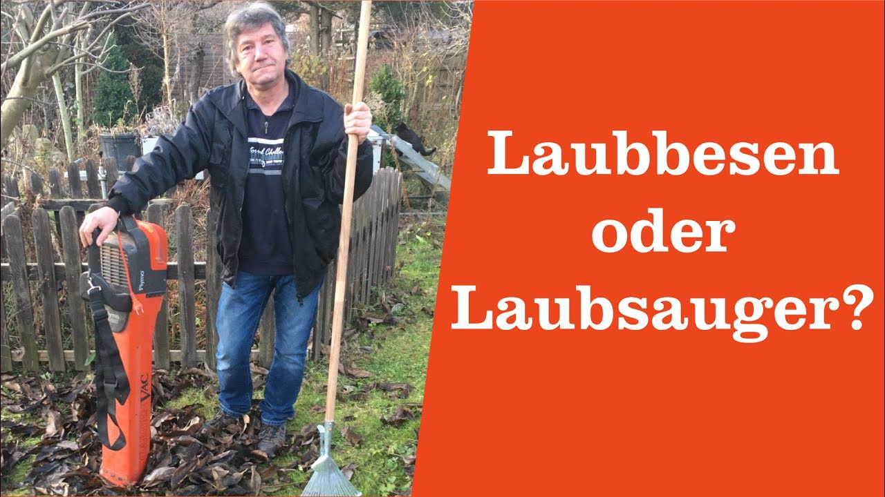 Laubbesen oder Laubsauger?