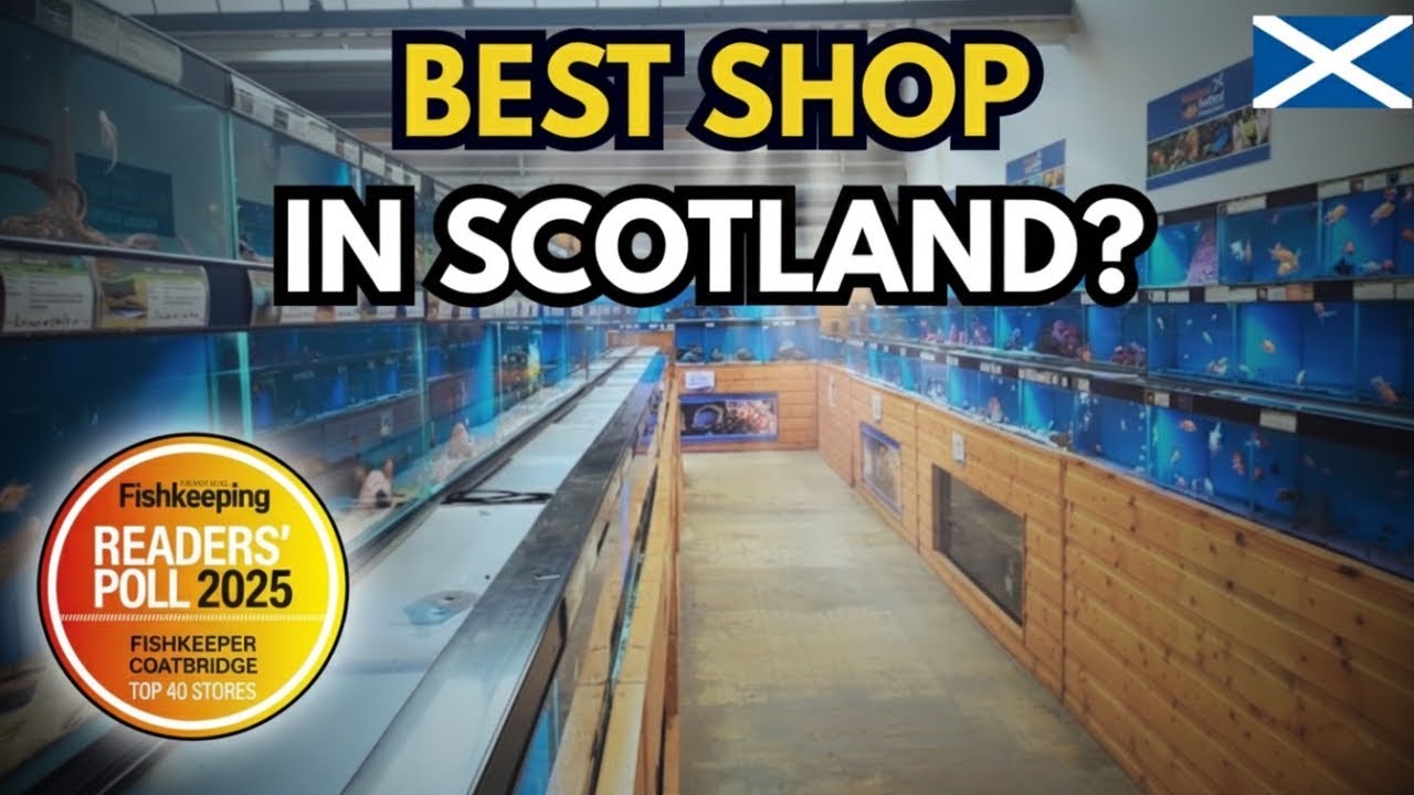 Один из лучших рыбных магазинов Шотландии? Внутри магазина Fishkeeper в Глазго, Коутбридж.