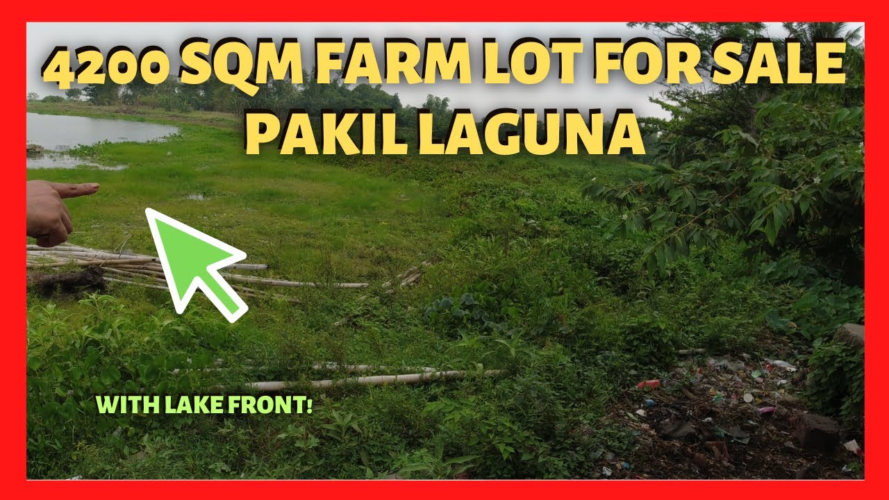 4220 sqm Farm Land in Pakil Laguna for Sale (Lot Code 2348)