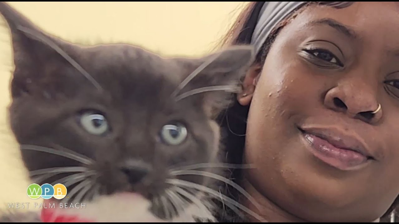 Pet Foster Parents Needed at Peggy Adams Animal Rescue League