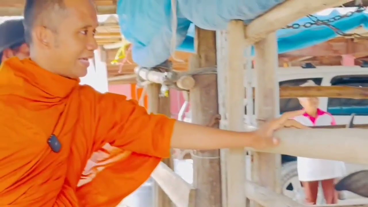 พระอาจารย์ทำบุญไถ่ชีวิตโค กระบือ 7 ชีวิต ในโอกาสคล้ายวันเกิด