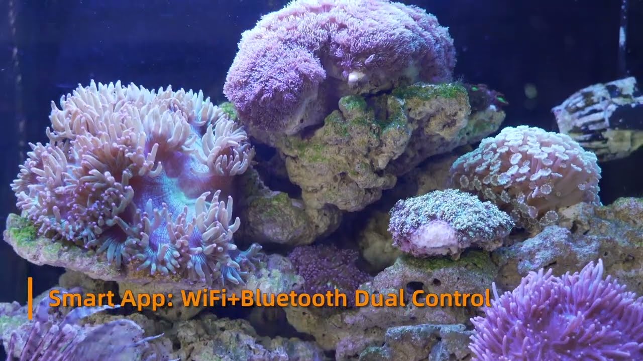🌊 The Ultimate Smart Reef Lighting System