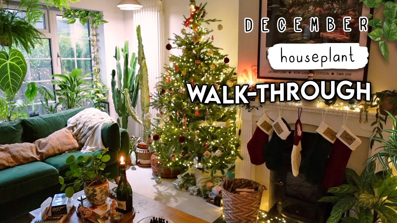 A Realistic Walk-Through of My Houseplant Collection (struggle zone!) 🌱