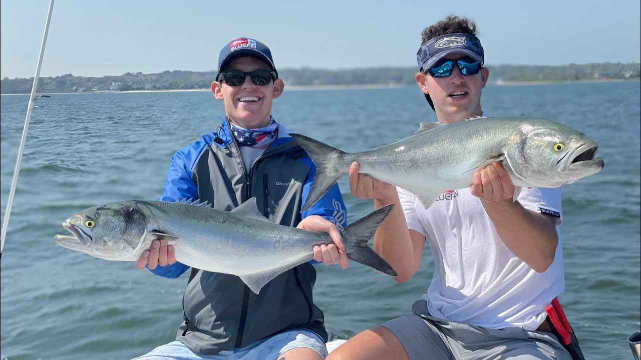 Huge bluefish blitz long island!!