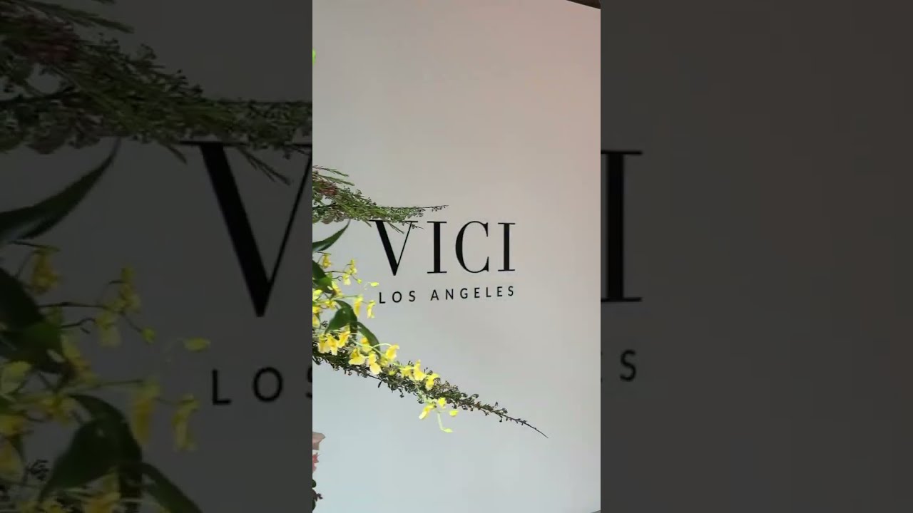 VICI x LA Studio Grand Opening