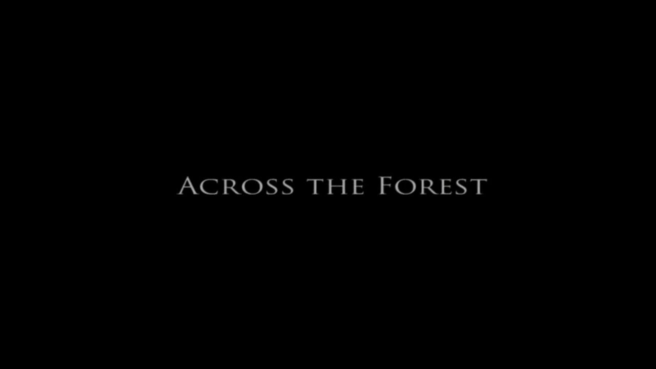 Across the Forest: Tales from Transylvania