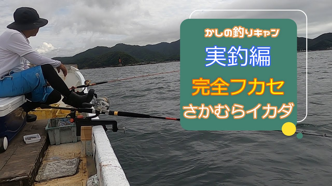 実釣編  さかむらイカダのカセで完全フカセ  ! 　大サバ祭りです！
