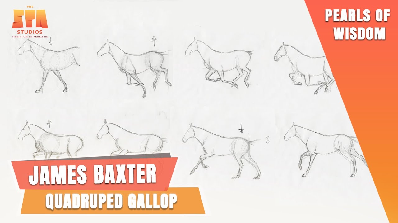 James Baxter’s Pearls of Wisdom: Quadruped  Gallop