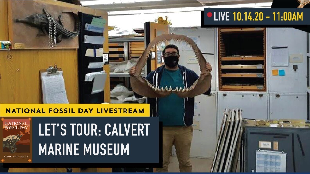 Let's Tour!: Calvert Marine Museum