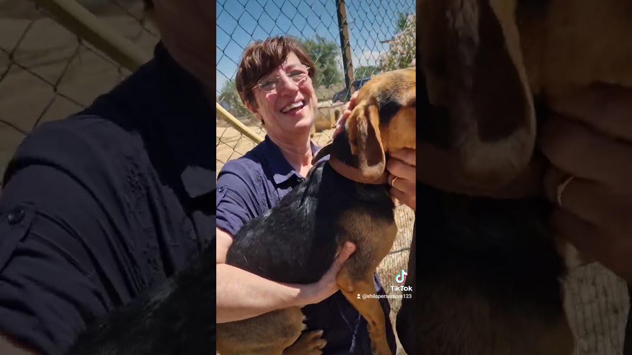 Pippo,finalmente adottato.Non comprare,adotta sempre:3404754484