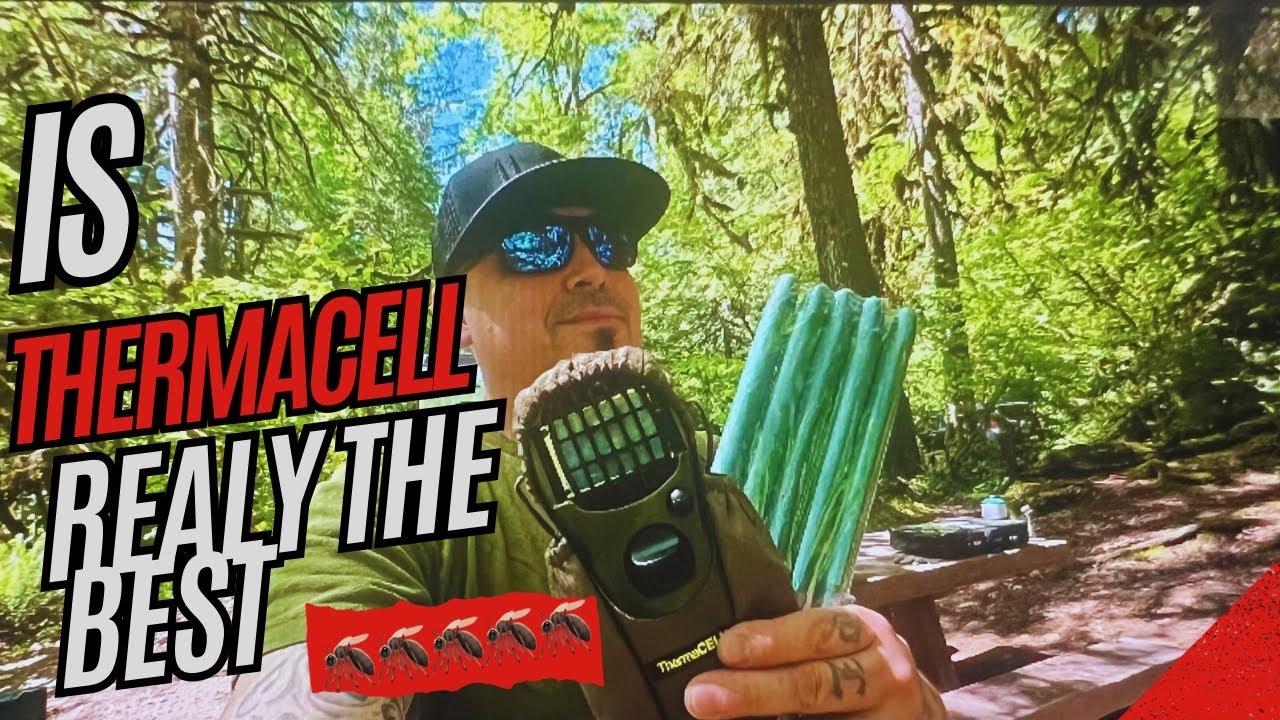 My comparison between thermacell and mosquito sticks.