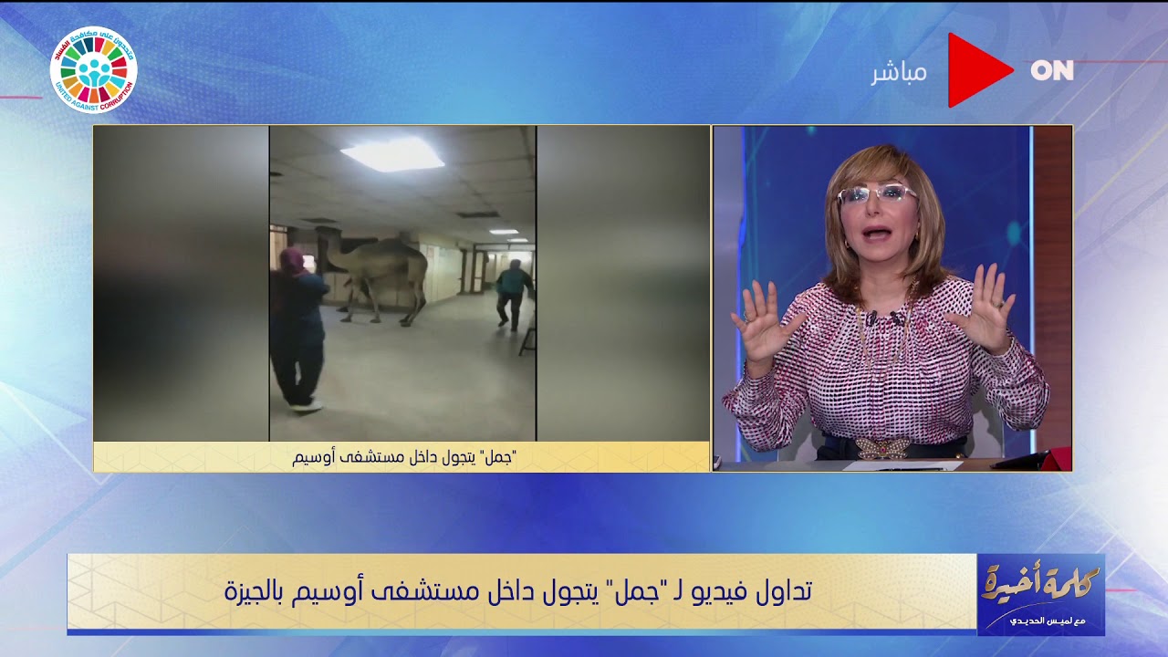 كلمة أخيرة - جمل يقتحم مستشفي اوسيم بالجيزة .. ولميس الحديدي تعلق