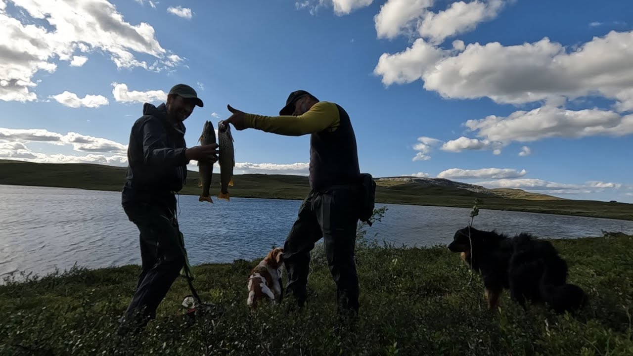 På loffen i Nordland, Lave skuldre og grov ørret. Episode 2 av 2.