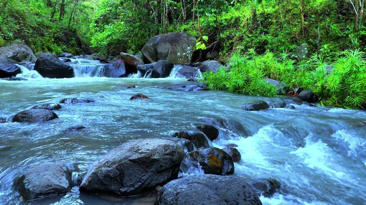 Peaceful River Flow for Mental Calm