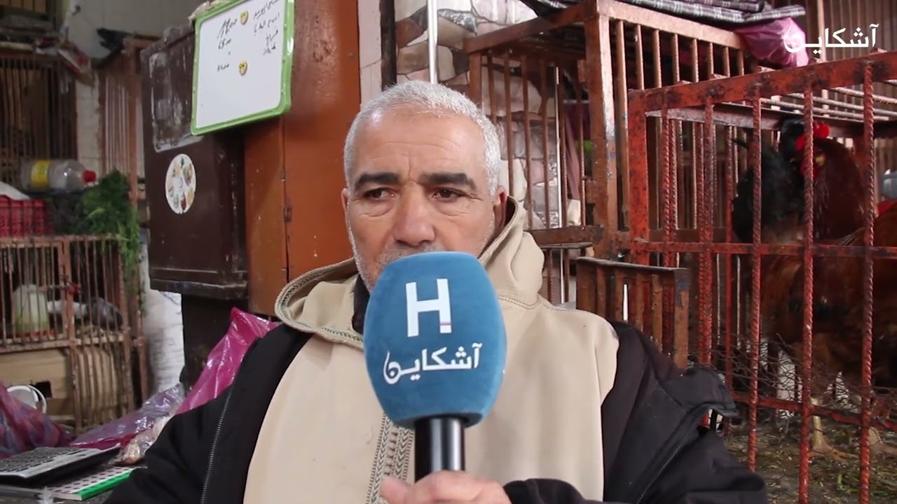 في ليلة النصف من الرمضان هذه أسعار الدجاج في مختلف اسواق مراكش