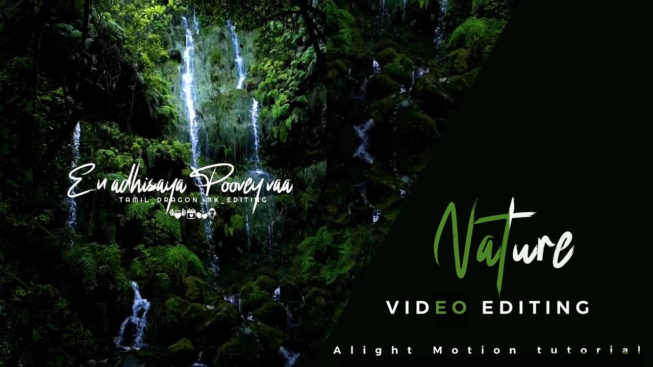 How to make Nature Video Editing | Lyrics video Edit | Alight motion tutorial | 4K export