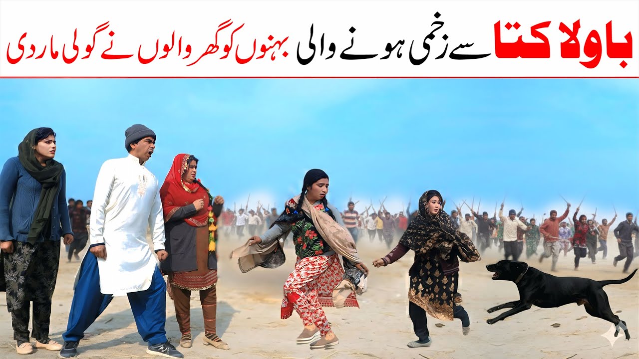 Dog | Ramzi,Noori, Bilo ,Bhootna,Shoki, Sanam, Falak Sher,Funny Video  Rachnavi Tv