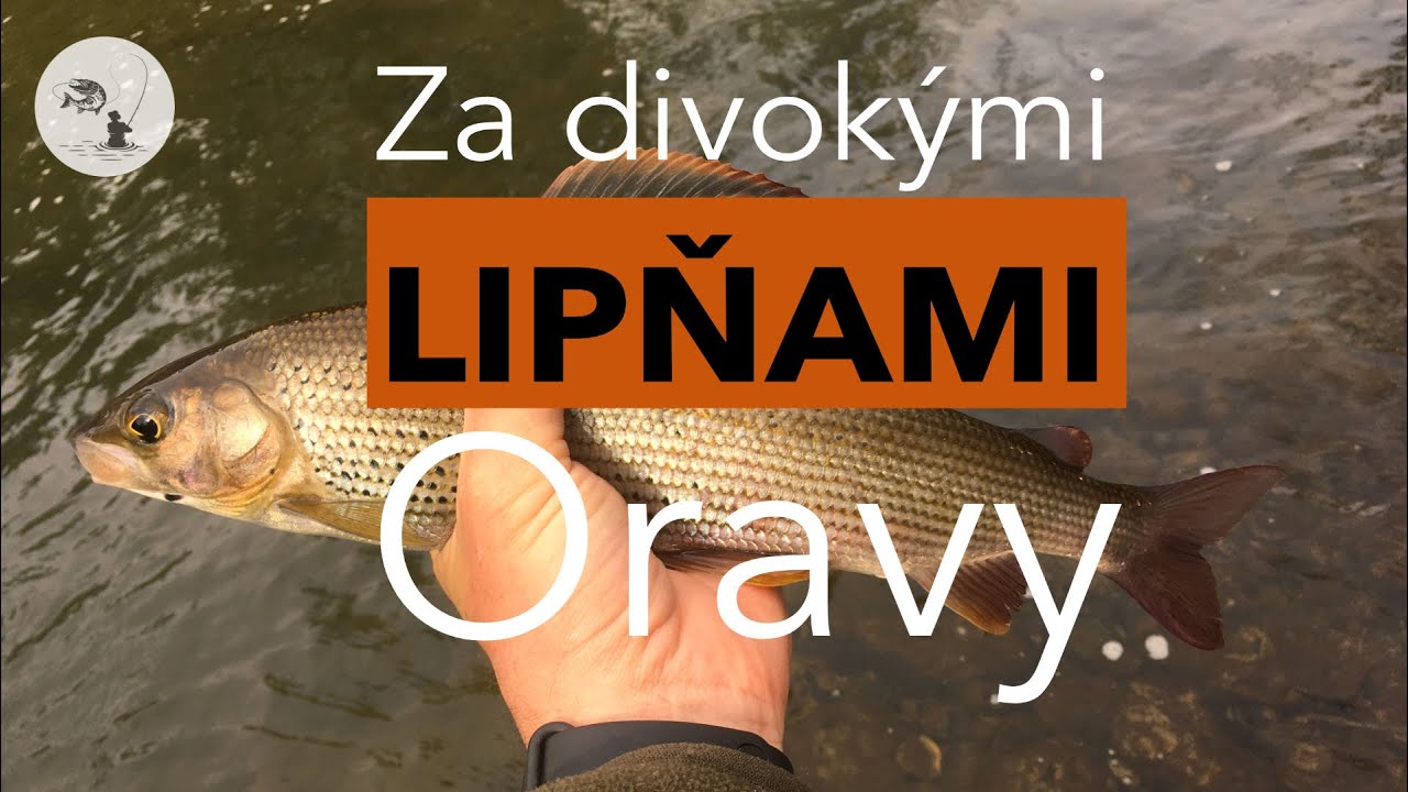 Za divokými lipňami Oravy