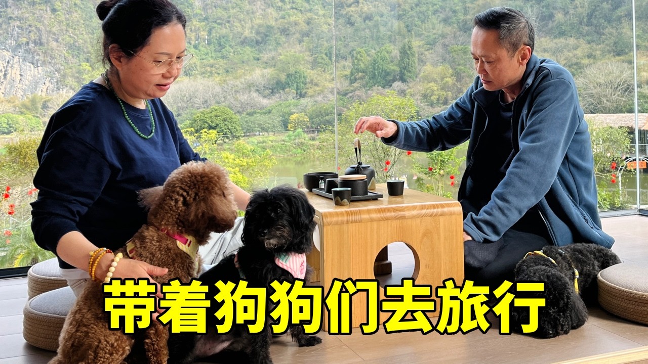 带着三只狗狗短途旅行，到中国最美的广西阳朔，和狗狗一起坐竹筏【红茶朱古力生活日记】