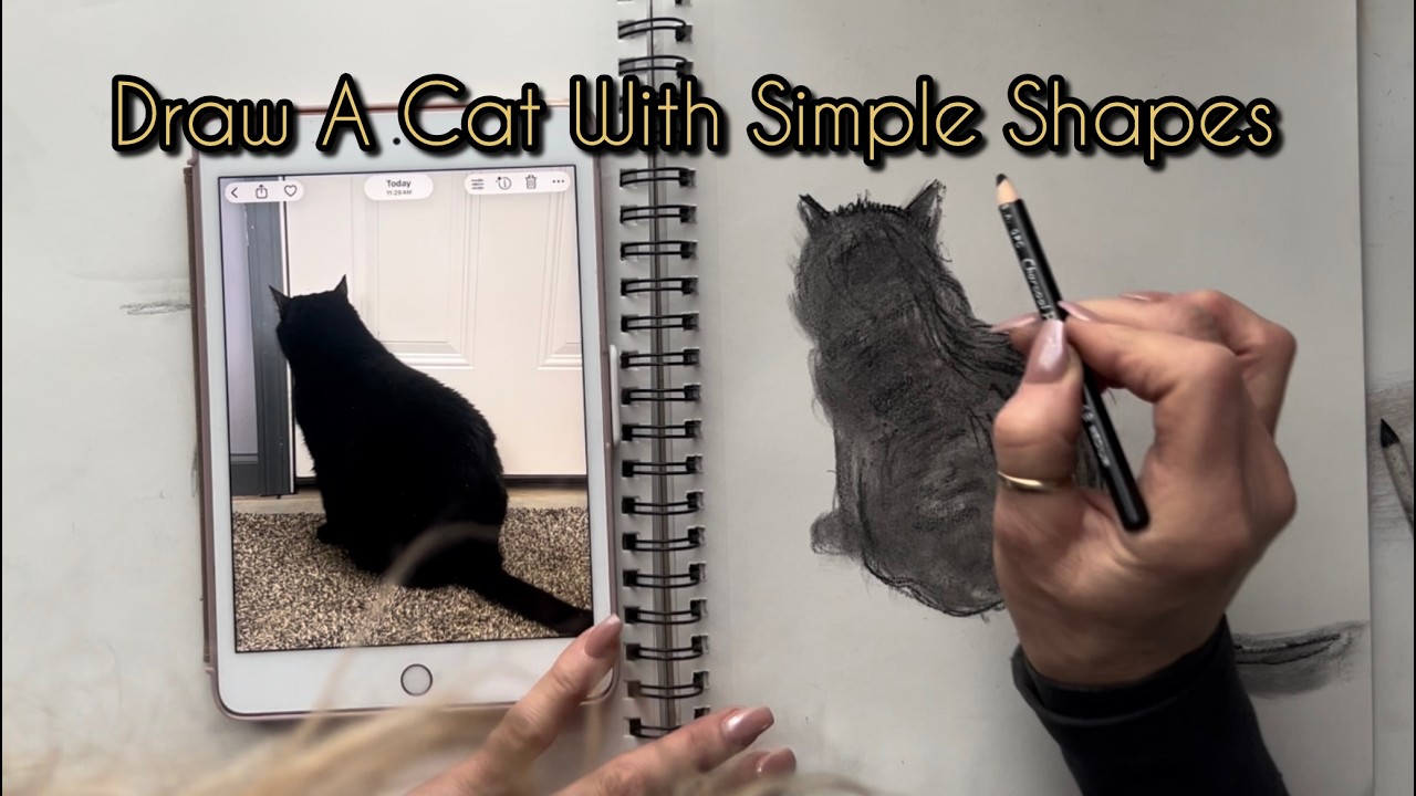 How to Draw a Cat Using Simple Shapes (Beginner Friendly)