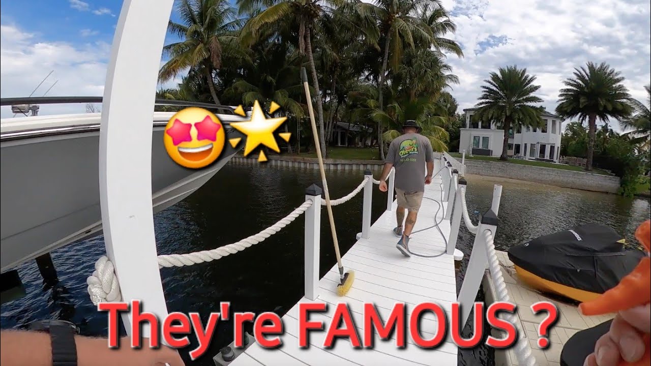 Soft Washing Celebrity Mansion
