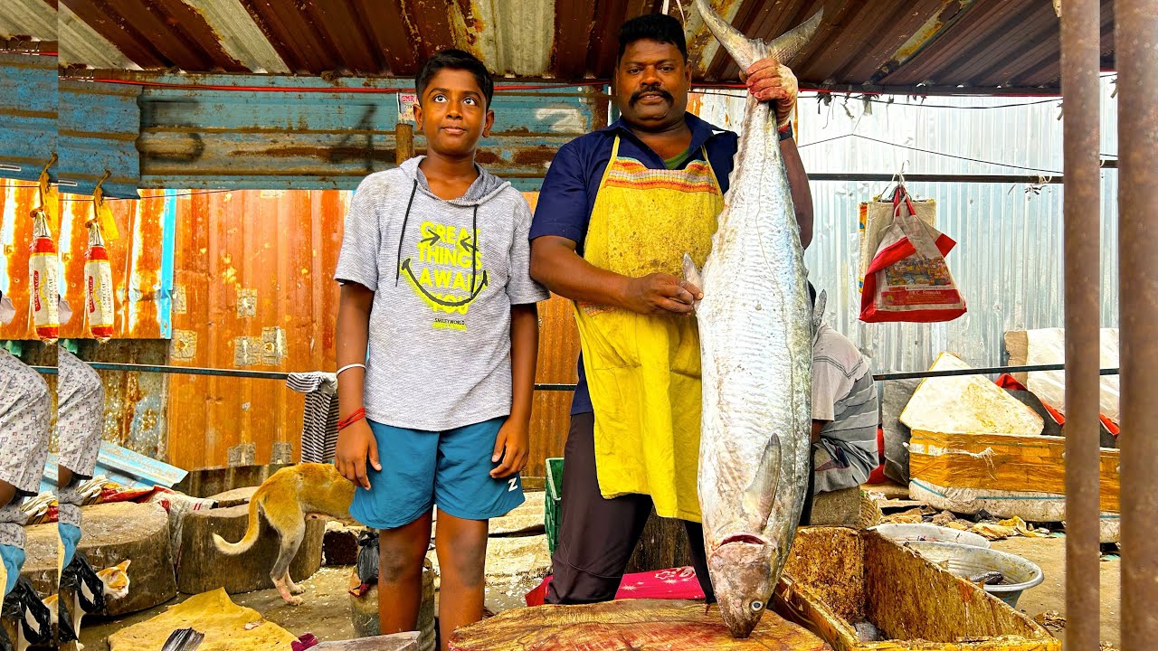 KASIMEDU 🔥SPEED SELVAM | BIG SEER FISH 🐟 MASS CUTTING SKILLS | N M FISH CUTTING 🔪